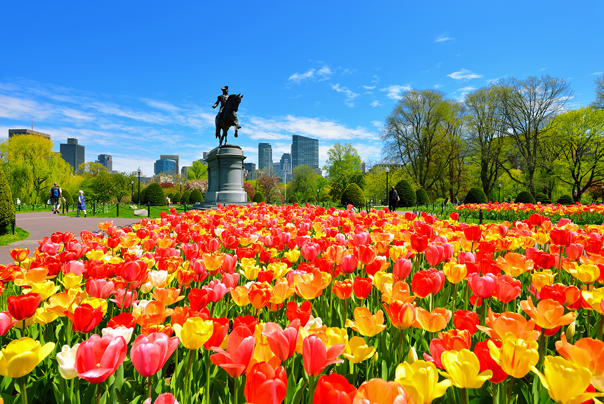 Discover the Beauty of Boston’s Public Garden: A Must-Visit Destination