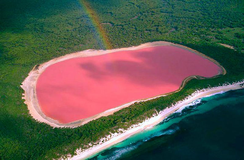 Discover the Pink Waters of Lake Hillier of Australia