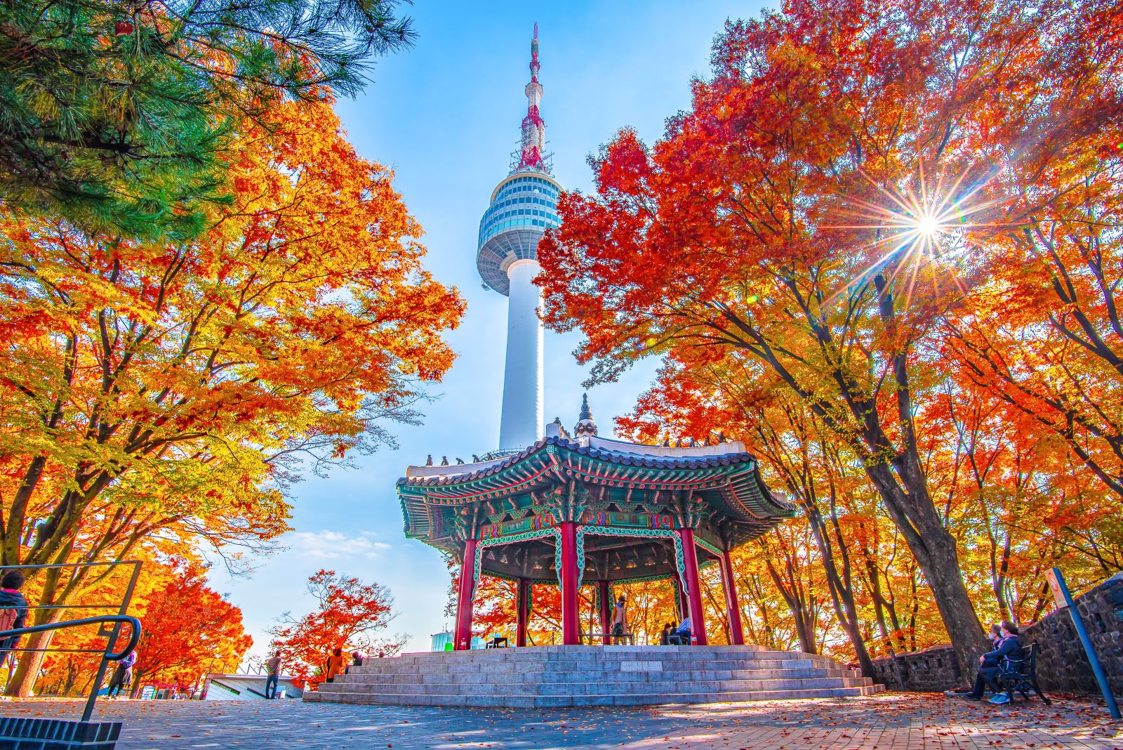 Our Amazing Day at Namsan Tower